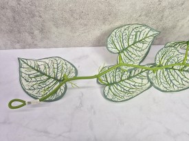 Guia hojas grandes blancas y verde